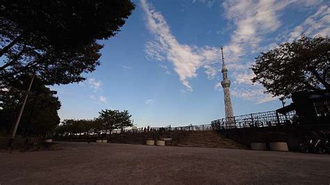 ゲイ公園|隅田公園（スミダコウエン）【ゲイ・ハッテン公園】｜ハッテン 